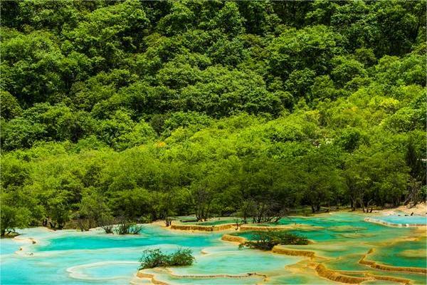 个人信贷利息怎么算?深入剖析算法与避坑指南